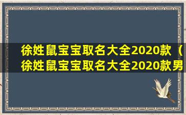 徐姓鼠宝宝取名大全2020款（徐姓鼠宝宝取名大全2020款男孩 🪴 ）